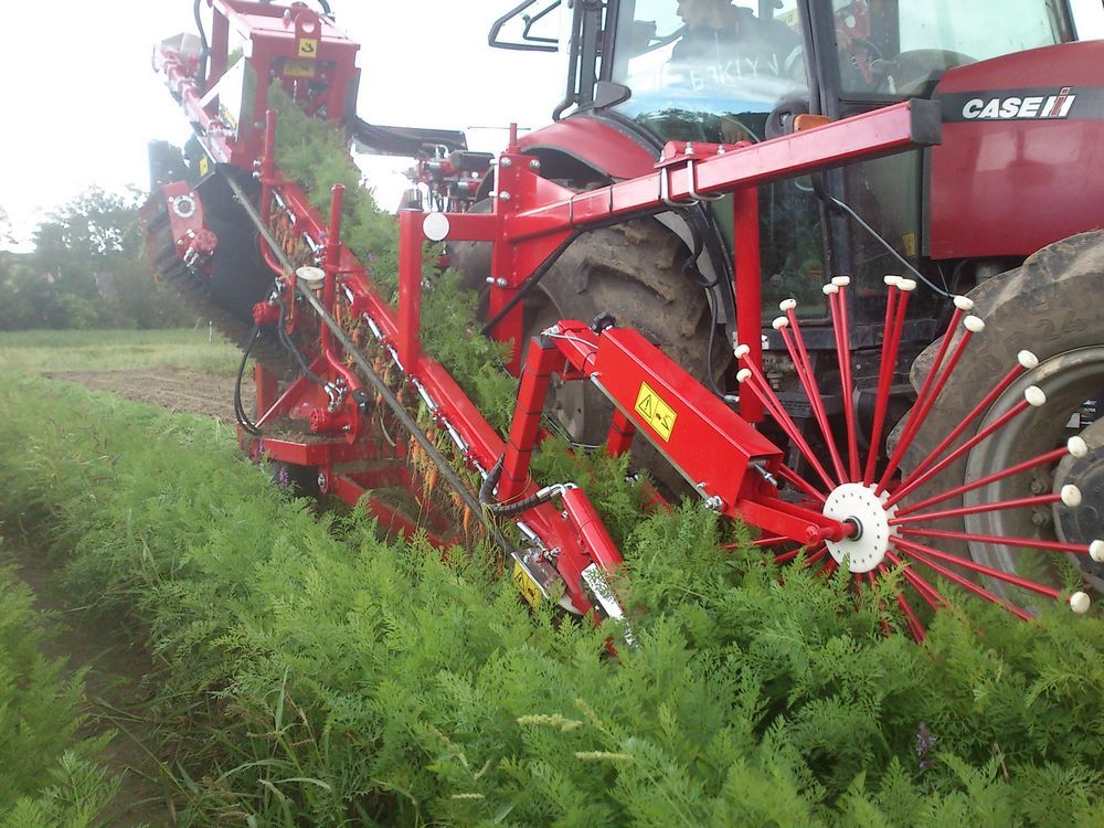 Récolteuse de légumes ALINA SUPERNOVA - Weremczuk - productivité 0,08-0,12 ha/h - puissance tracteur requise 80 CH - récolte précise à 98%_1
