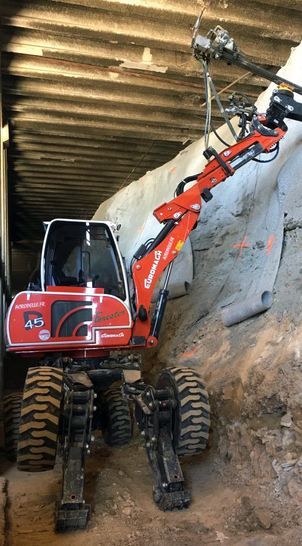 R45 big foot - forester pelle araignée_1