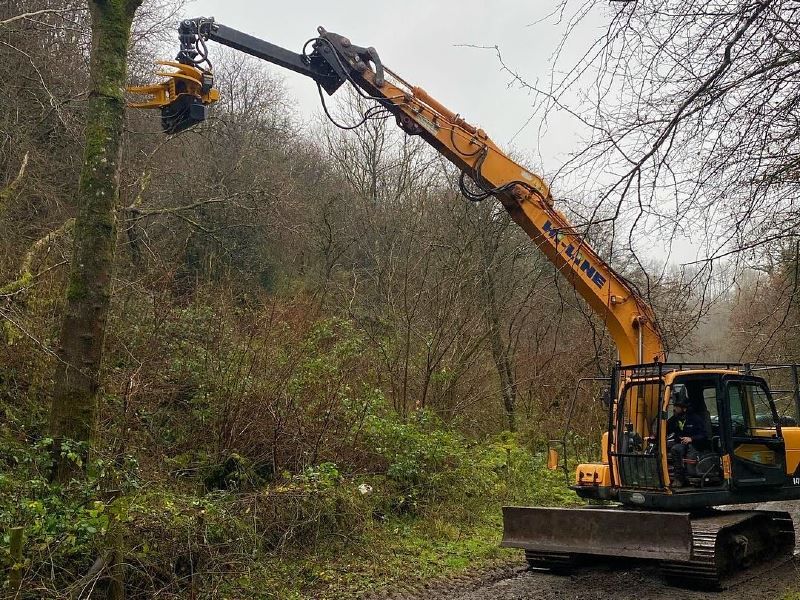 Équipement grappin tronçonneuse pour minipelles et chariots télescopiques