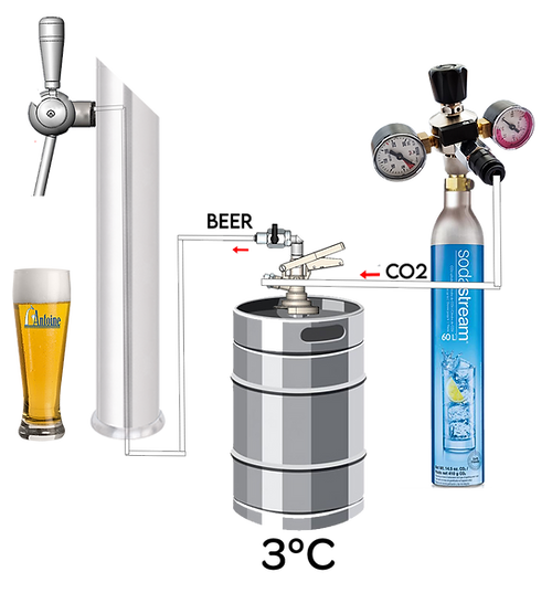 Frigo à fût pour bière - Hometap - Acier inoxydable, 120W, thermostat numérique, dégivrage automatique_1