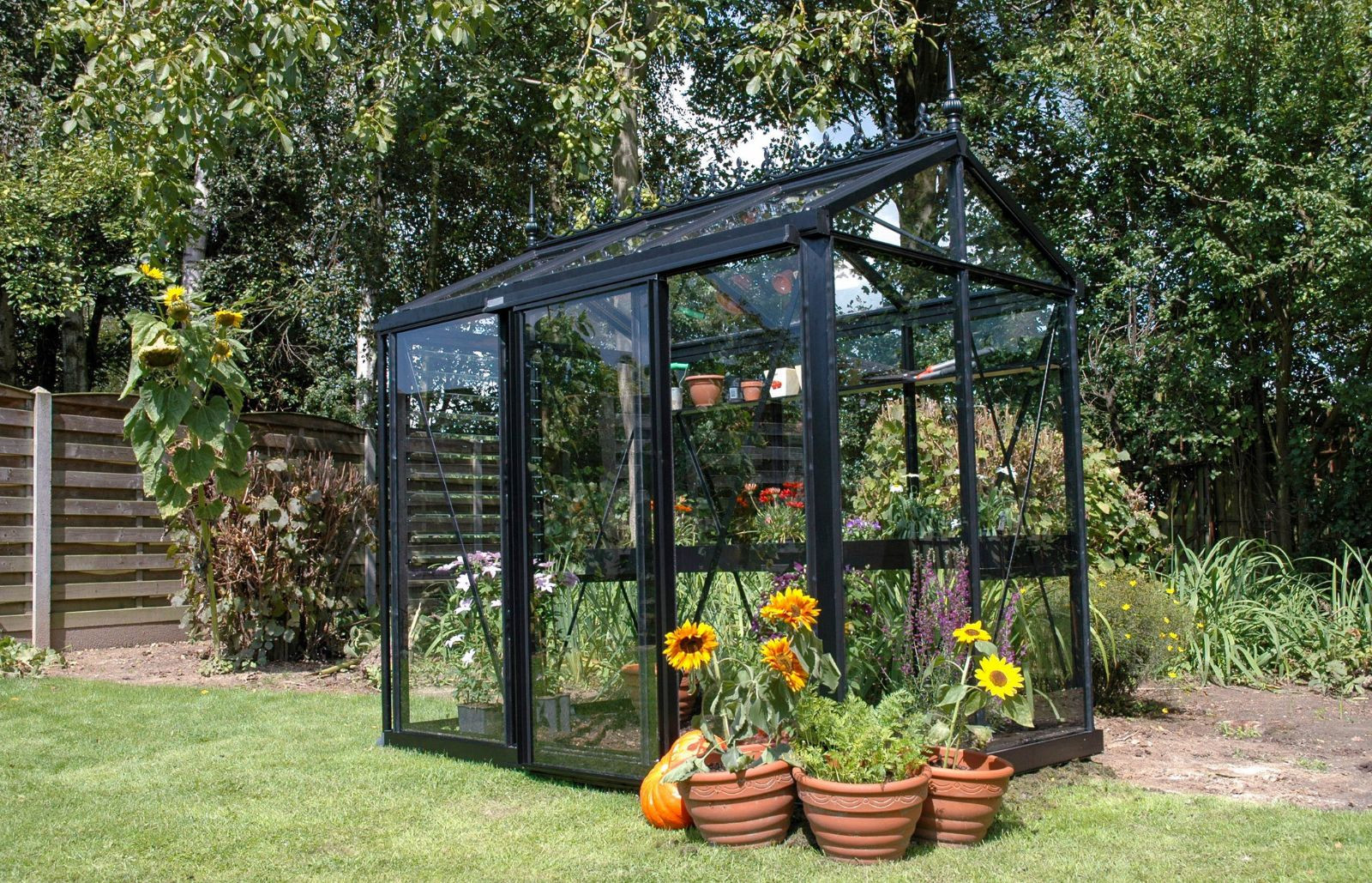 Serre en verre compacte et très lumineuse pour les jardins et terrasses - Disponible en aluminium naturel, noir ou vert - Helios Urban_1