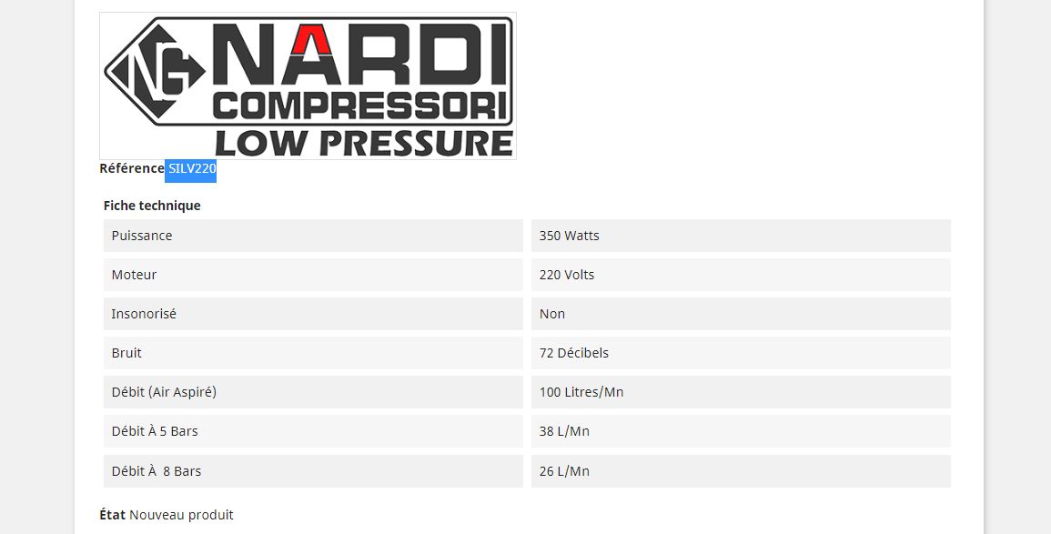 Compresseur électrique Silverstone SILV220 - Nardi Compressori France - Débit 100 L/min - 8 bars - Sans huile_1