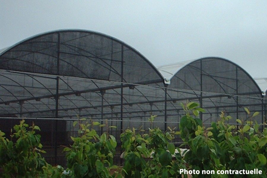 Serre professionnelle bi-chapelle avec structure en acier galvanisé