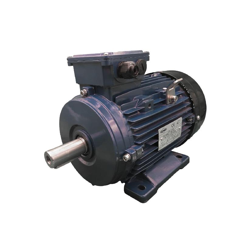 Moteur électrique triphasé 230/400V - 4 kW - 3000 tr/min - MS100L22B3 - Bride B3 à pattes_1