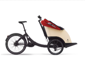 Triobike Tricycle Taxi CL - Vélo pour personnes âgées avec coussins sur mesure et ceinture de sécurité_1