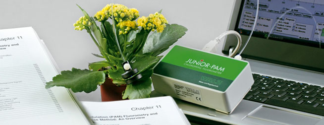 Junior PAM - Fluorimètre économique pour l'enseignement des mesures de fluorescence de la chlorophylle avec technique modulée_1