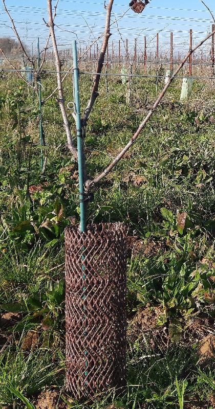 Lot de 6 protections fendues - 11 cm de diamètre, 120 cm de hauteur, 230 g/ml - anti-chocs et anti-écorçage_1