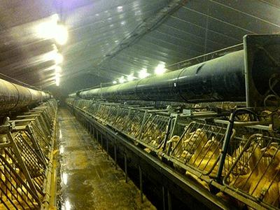 Gaine de diffusion pour une gestion optimale de l'air - Réf : Rondiplast  -  ORELA_1