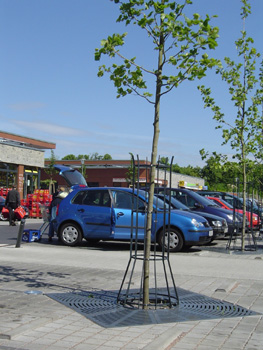 Grille d'arbre fonte type radial_1