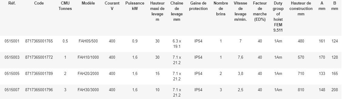 Palan électrique à chaîne Elephant type FAH - Rema Holland B.V. - Hauteur de levage 3 m - 400 V avec fin de course haut et bas_1
