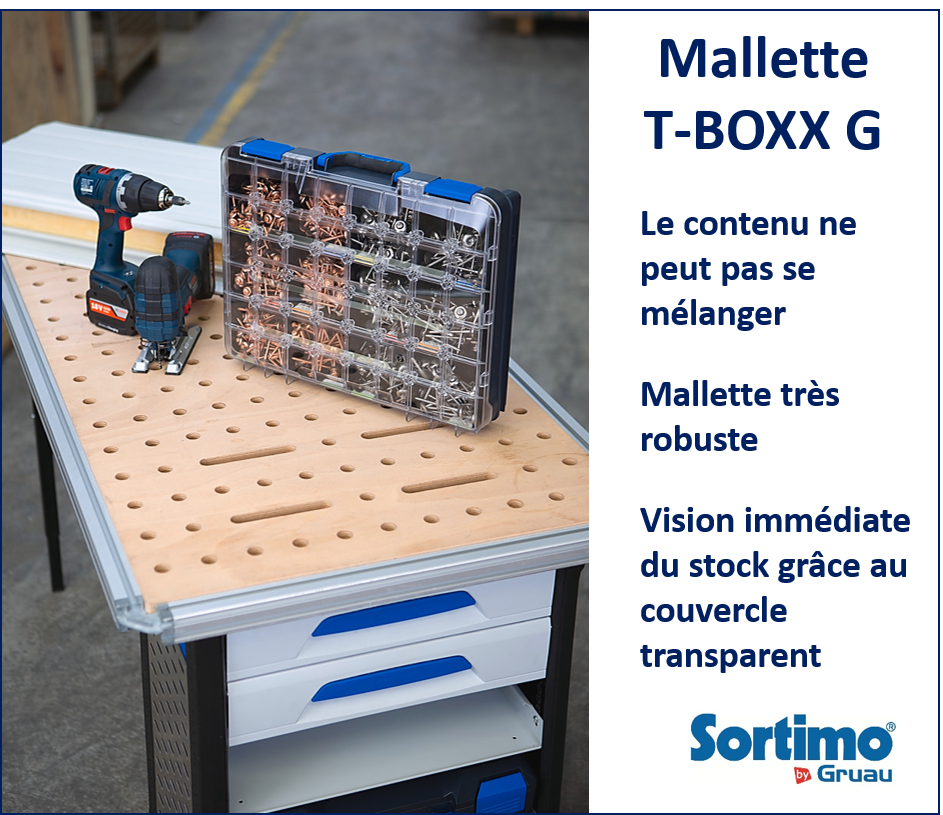 Mallette T-BOXX G transparente - Caisse à outils compacte, robuste et personnalisable_1