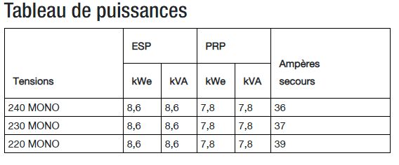 T9km groupe électrogène industriel - SDMO - 230V mono - Moteur Mitsubishi S3L2-SD - Régulation mécanique_1