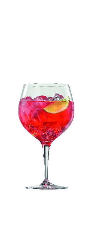 4 verres Gin & Tonic Spiegelau - brillance durable, résistance aux rayures et lavage, contenance 630 ml_1