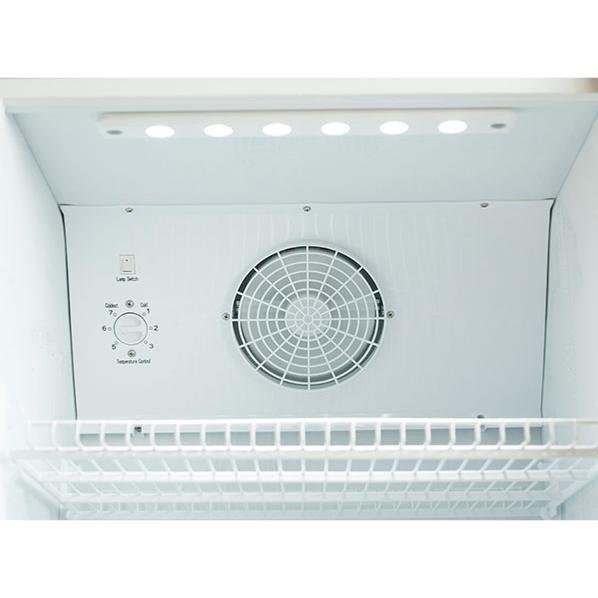 Armoire à boissons blanche 1 porte 300 L - avec canopy plat | Coolhead - DC328C_1