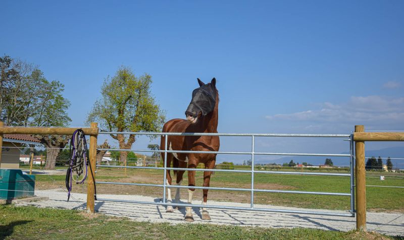 Porp4n - barrière agricole galvanisée - porte de prairie 4-5 m_1