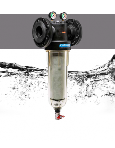 Filtre sédiment industriel 100 microns 2