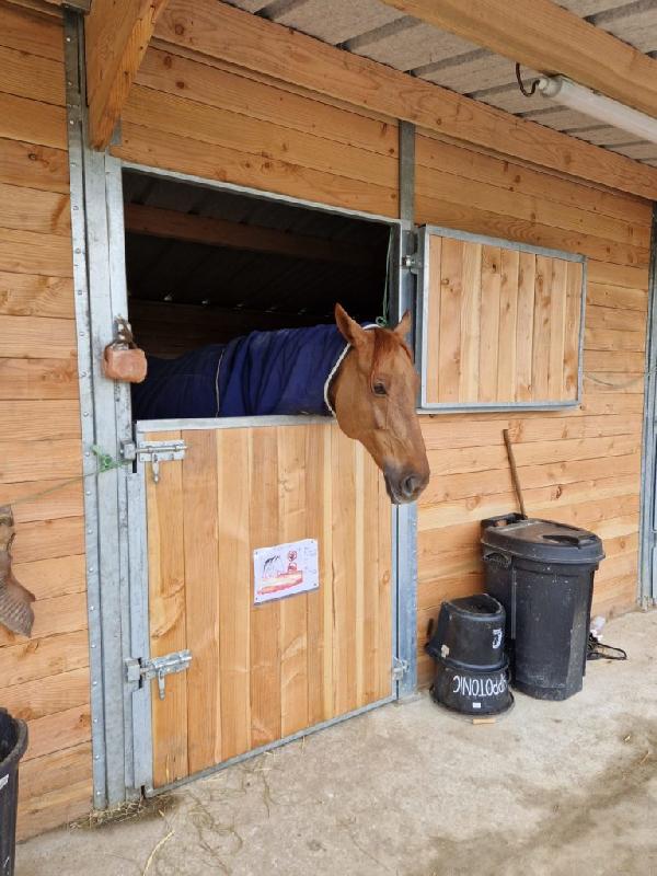7 boxes poteaux métal - BOX035 - acier galvanisé - fabrication française_1