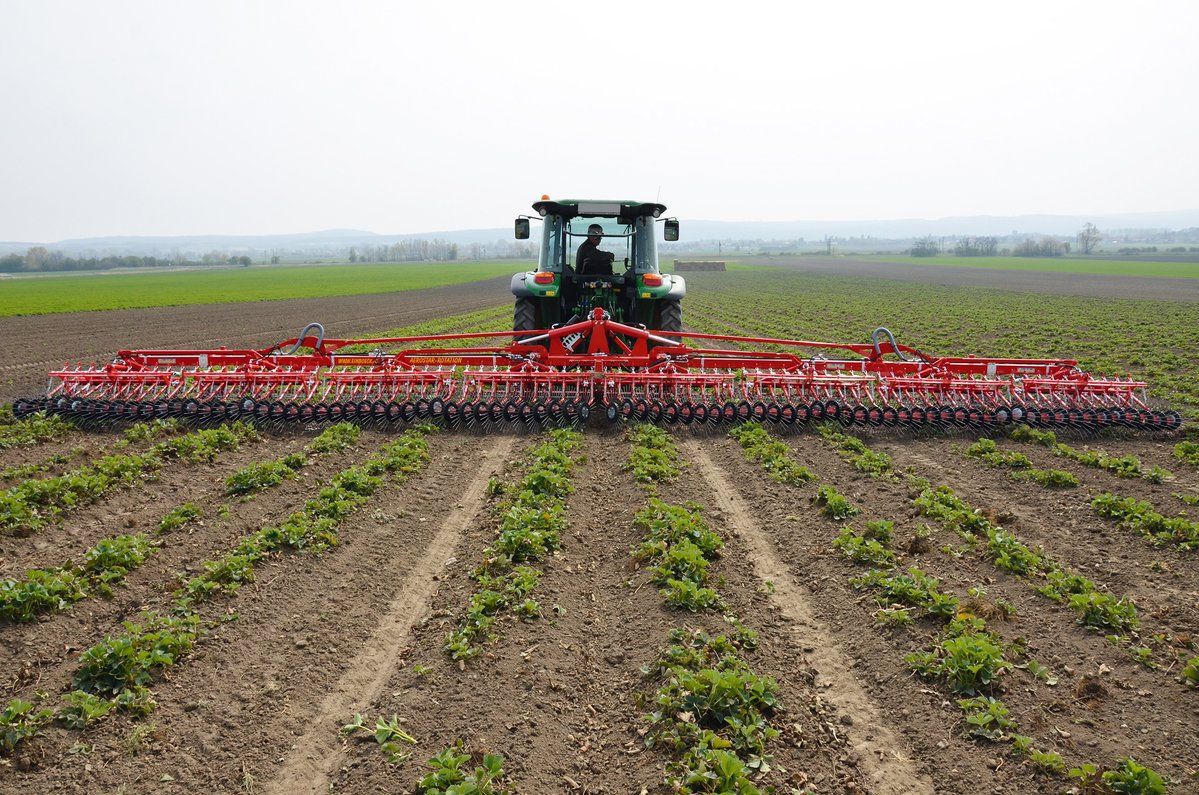 Aerostar - Fraises et herses rotatives Einboeck - Dent en acier 6.5 mm - Large gamme d'applications et désherbage efficace_1