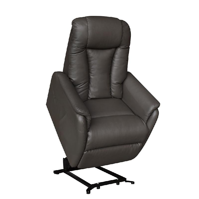 Fauteuil relax releveur NERSAC bi-moteur - cuir et PVC taupe foncé - confort ergonomique_1
