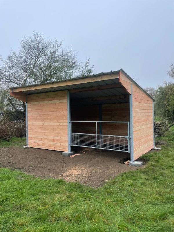 Box de poulinage Douglas - Sécurité et confort - BOXDEL_1