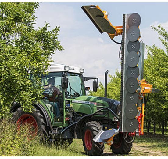 Équipement de coupe arboricole robuste avec lames haute qualité