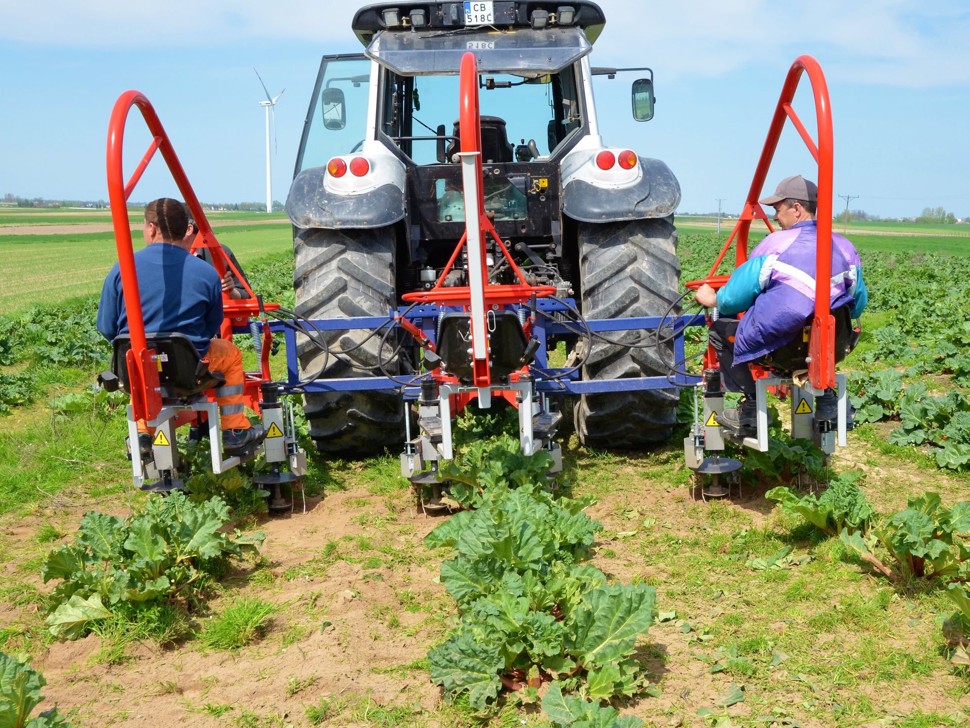 Bineuse sur le rang ZUZA 3 - 1, 2 ou 3 rangées - Éléments rotatifs pour cultures maraîchères et fruitières - JAGODA JPS Agromachines_1