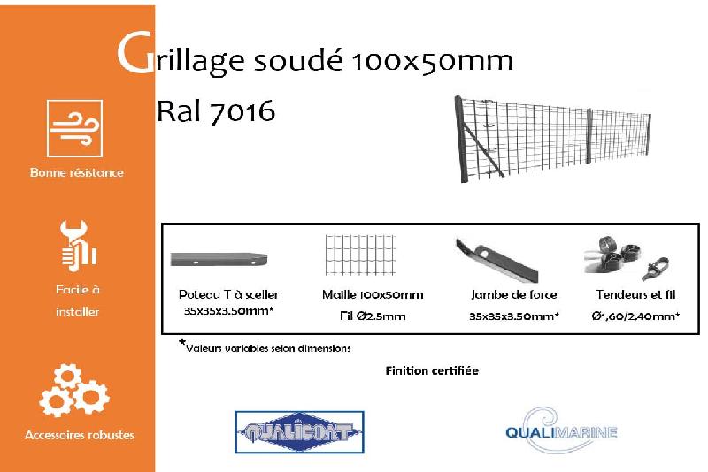 Grillage soudé maille 100x50mm Ral 7016 - 1000_1