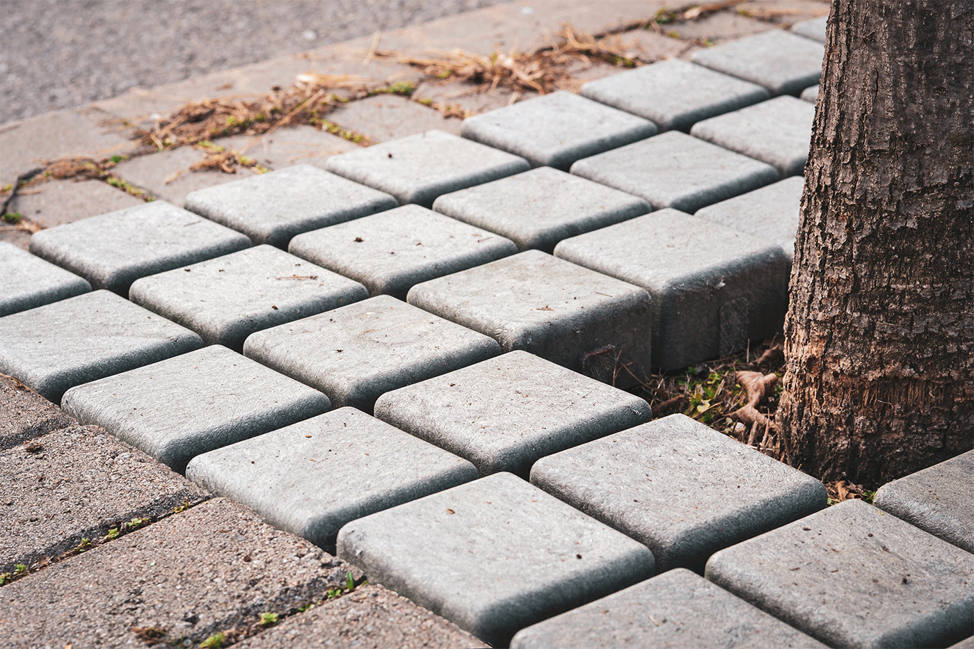 Grille d'arbre carré en plastique recyclé et recyclable - Ecologico A50 - résistante aux intempéries et rayons UV_1