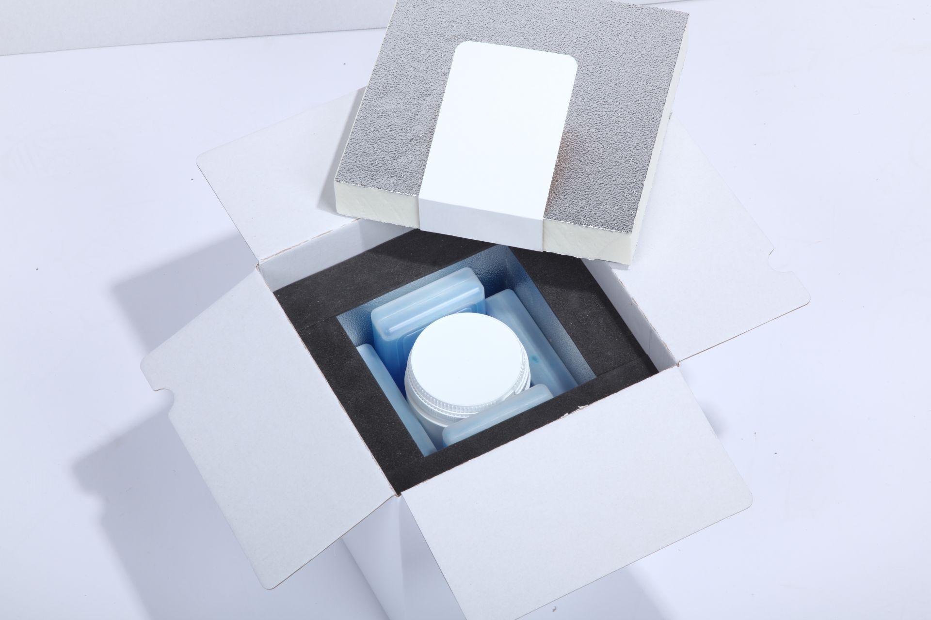 Caisson isotherme delema packaging standard_1