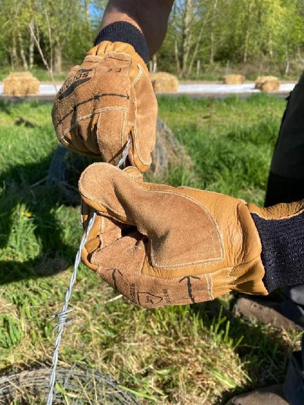 Gants de protection Solidur - Débardage - Cuir fleur de bovin - Réf. 961407 - Normes EN 388 et EN 407_1