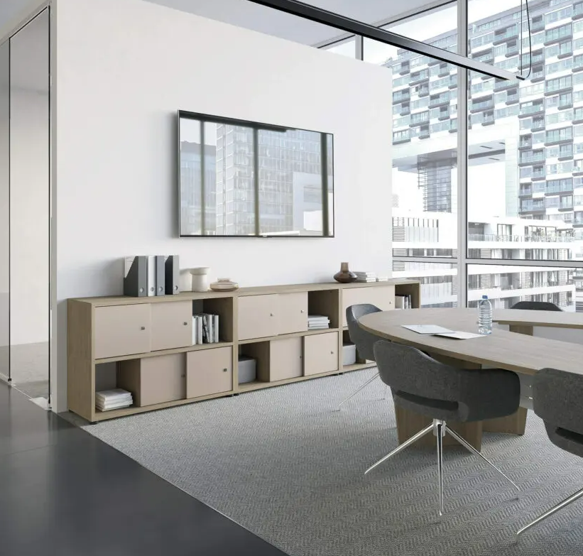 Armoire basse avec rangements optimisés pour espaces professionnels_1