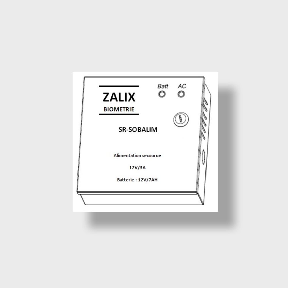 Boitier d'alimentation secourue avec relais intégré_1