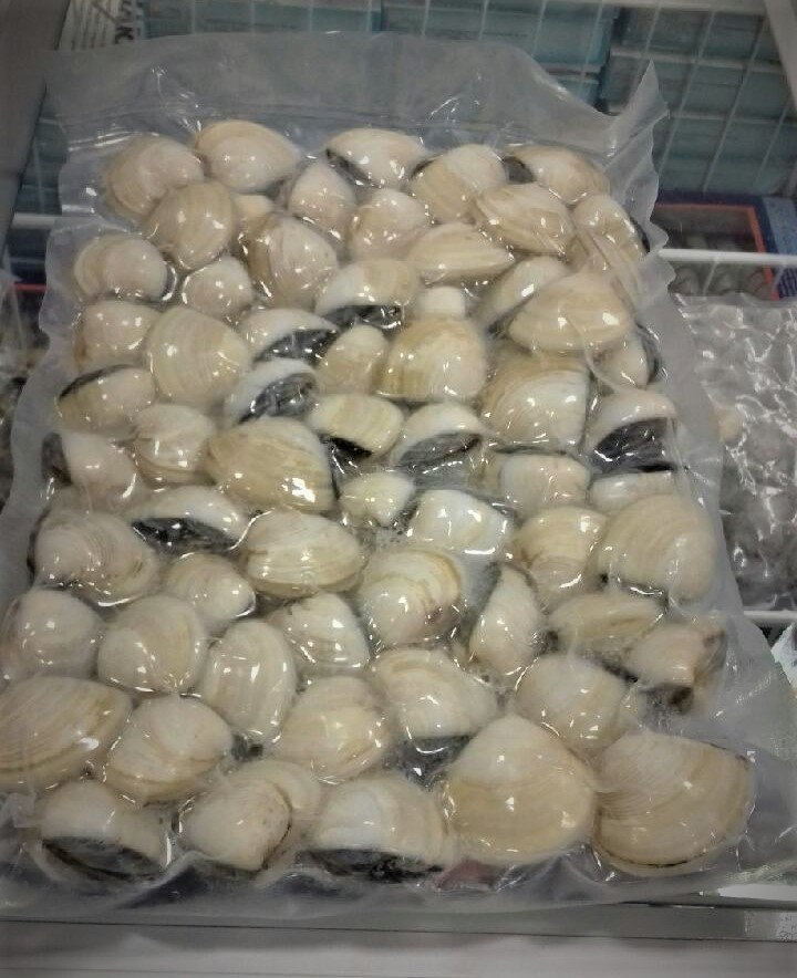 Lot de 100 sachets sous vide conservation - PA/PE transparents - SCO300400-110, SCO300500-110, SCO400600-110_1