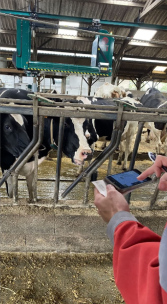 Robot de paillage Multipack TA25 - entièrement programmable_1