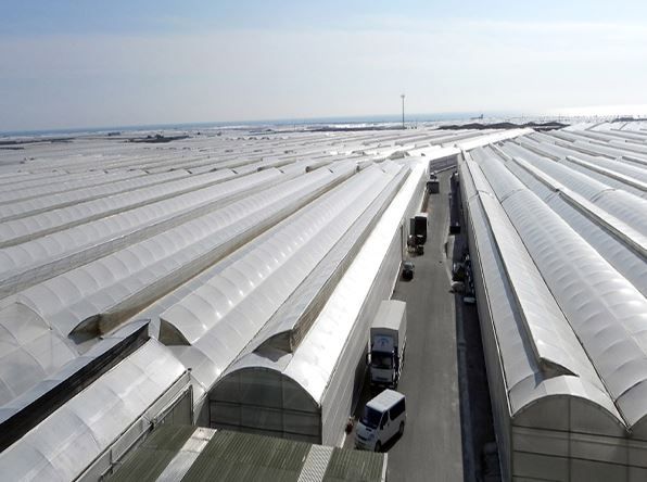 Serre chapelle Sunmax - portée 8 à 12 m - acier galvanisé et revêtement film PO ou PC_1