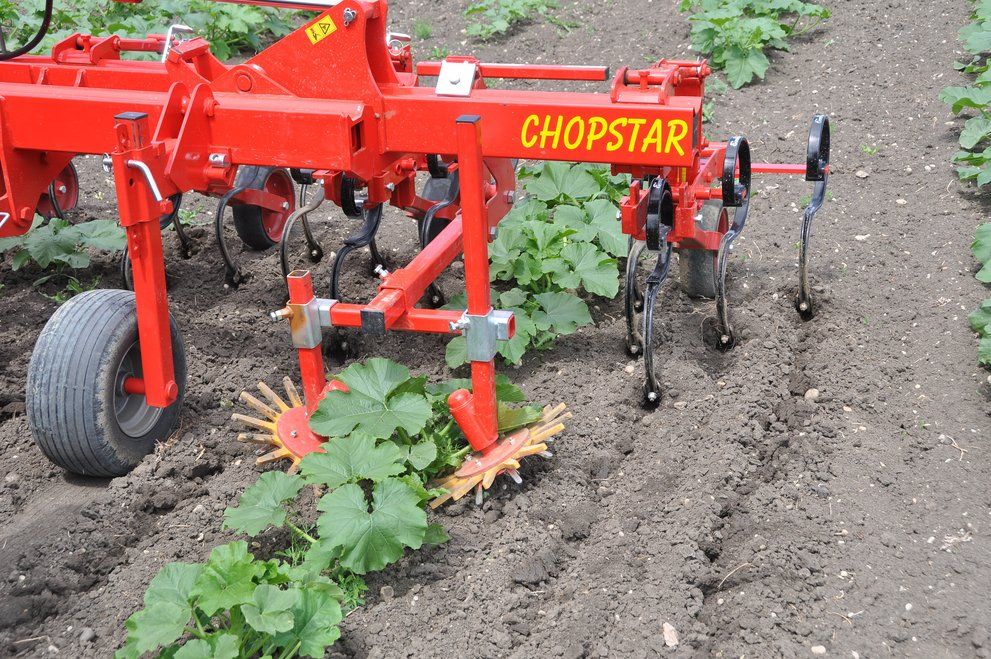 Bineuse agricole CHOPSTAR 10-150 - Einboeck - Inter-rangs jusqu'à 150 cm avec dent vibro_1
