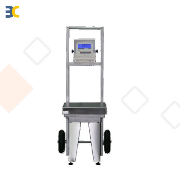 Plateforme balance de contrôle mobile complète - MARQUES MM PI - portée jusqu'à 300kg - finition inox ou métal peint_1