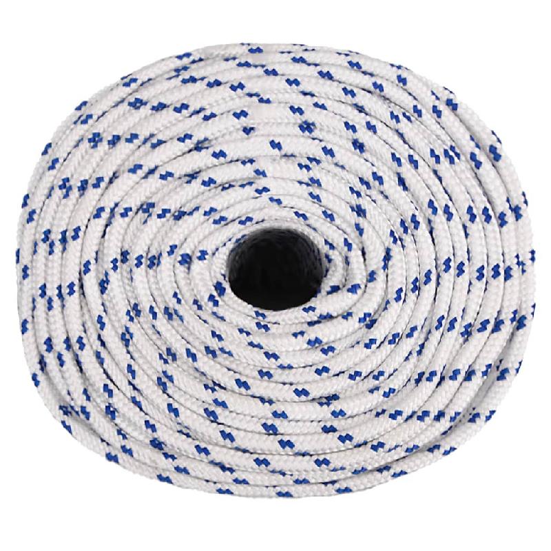 Vidaxl corde de bateau blanc 6 mm 250 m polypropylène 152287_1