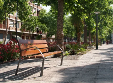Banc neobarcino_1