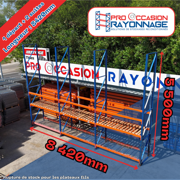 Système de rayonnage robuste et flexible - Rayosar - Hauteur 5 500mm, Longueur 8 420mm, Profondeur 1 000mm_1