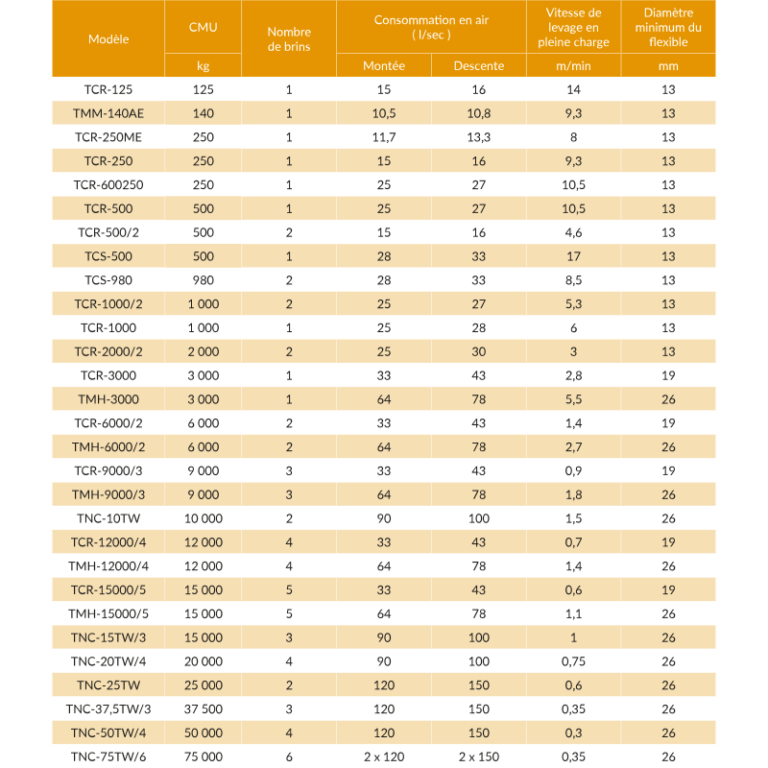 Palan à chaîne pneumatique RED ROOSTER® - utilisation industrielle - REF : 61100_1