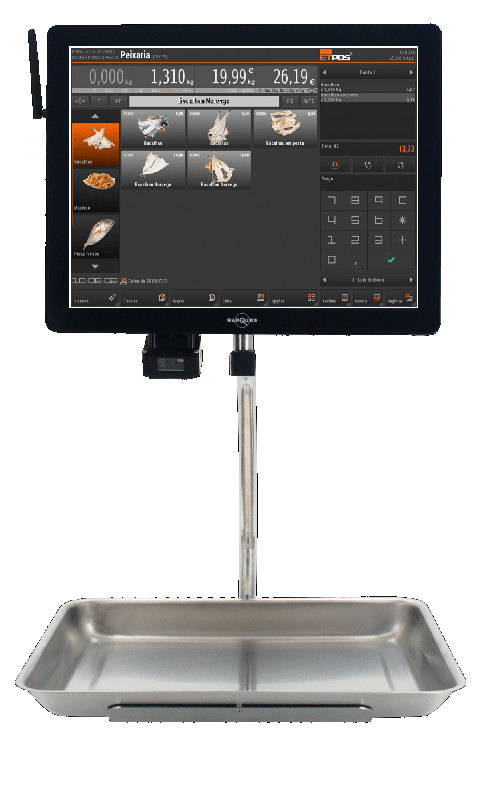 Balance Suspendue BM5 - Écran LCD 12.1