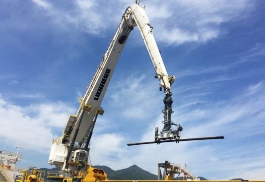 RL-K 2600 - RL-K 7500 grues portuaires à flèche articulée Liebherr - capacité de levage 50 à 250 t - compactes et flexibles_1
