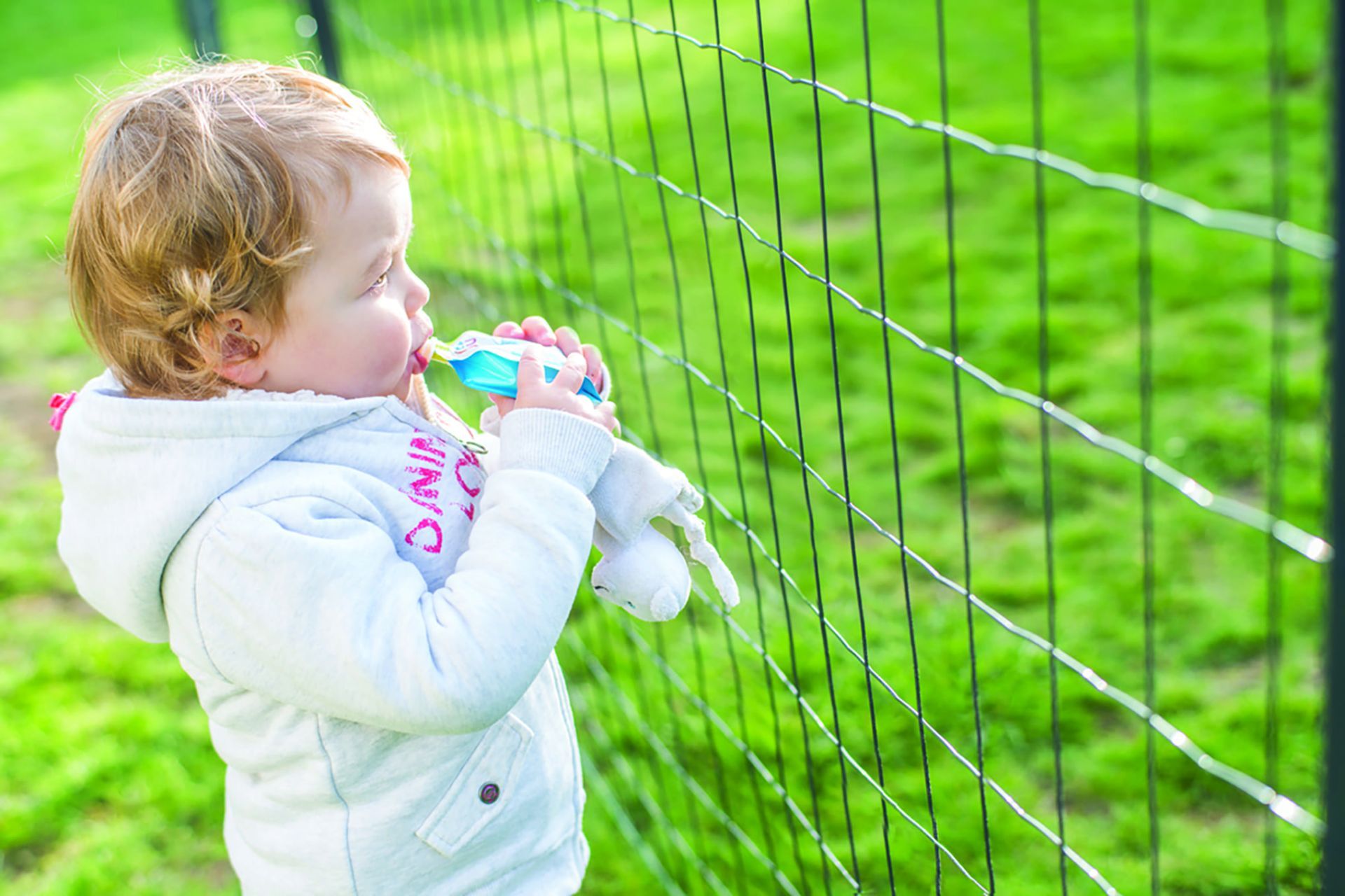 Clôture en rouleaux AXIAL® Maille 100 / 75 / 50_1