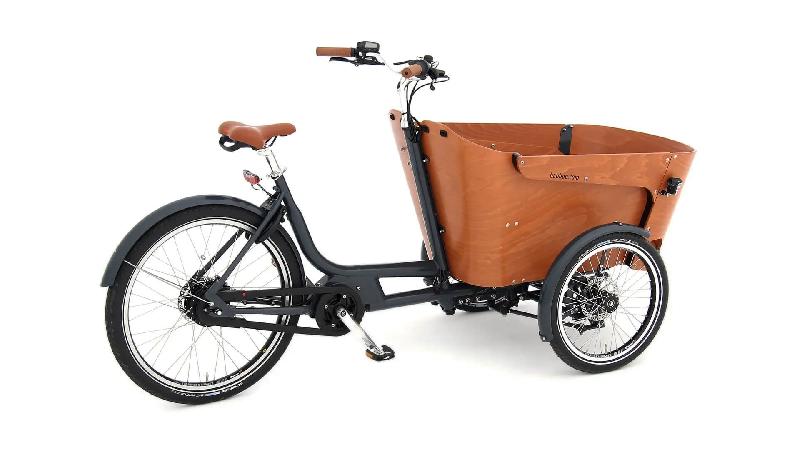 Triporteur électrique Babboe Flow Mountain - boîte Enviolo Nu Vinci - moteur Yamaha 36V 250W_1