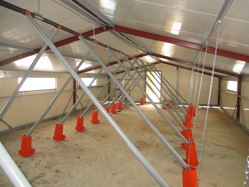 Cabane avicole deplaçable 120m2._1