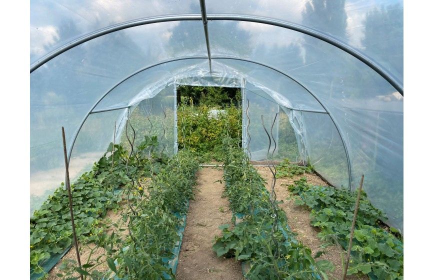 Serre pour légumes à deux portes pivotantes pour une aération naturelle et une accessibilité optimale - Largeur 6m - ABRI LEGUMES_2