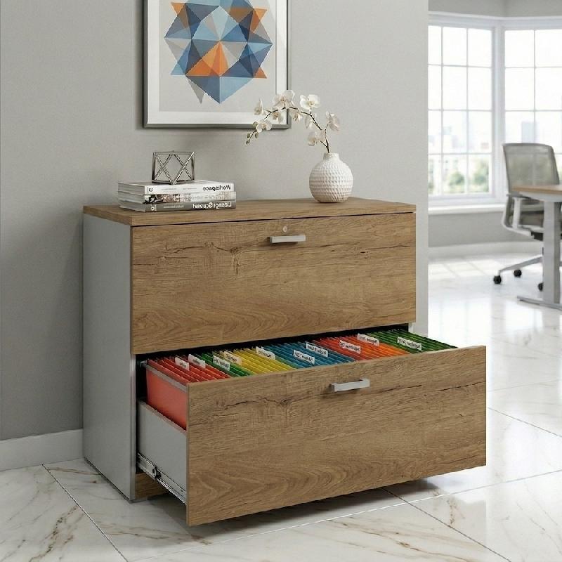 Classeur de Bureau Compact : Rangement Professionnel 2 Tiroirs pour Dossiers Suspendus - 60, Gris aluminium, Chêne veiné_1