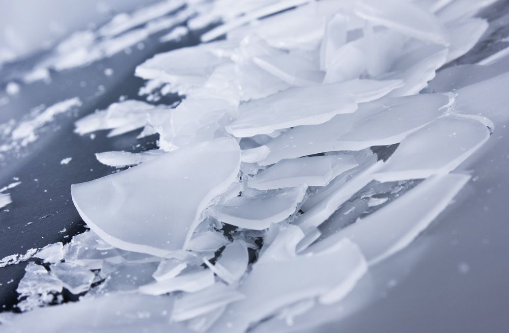 Machine à glace en écailles 2000 L - 2000 kg/24h - Version split avec groupe frigorifique distant - MAJA RVH_1