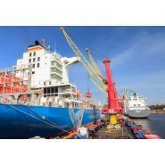 Grue flottante autonome pour opérations portuaires polyvalentes